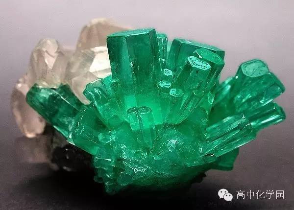 南宁市第三十三中学优化社团管理 促进自主发展